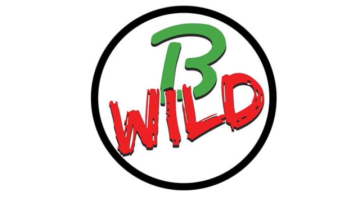 B-Wild – STORIE DI VIAGGIO