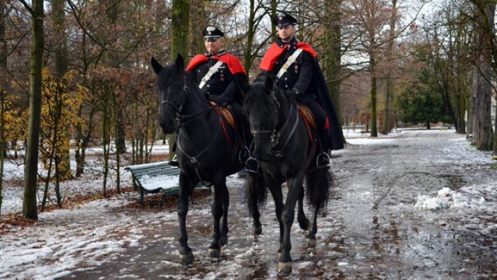 A Parma le pattuglie a cavallo dei carabinieri