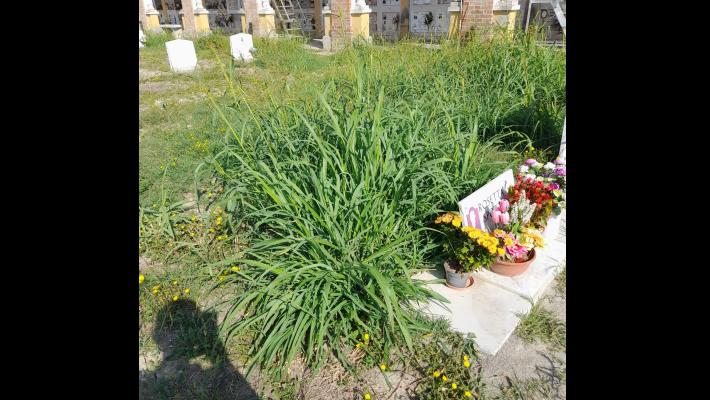  Segnalazione cimitero Ugozzolo
