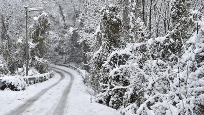 neve
