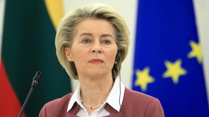 Von der Leyen, nucleare e gas necessari per transizione