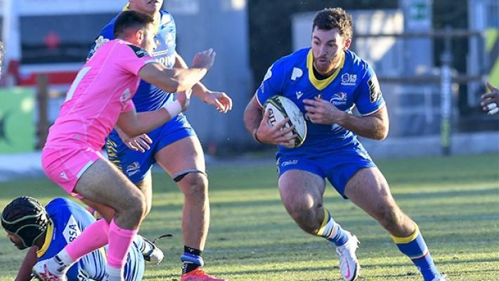 Zebre sconfitte 36 a 26. Nel finale guadagnano un punto