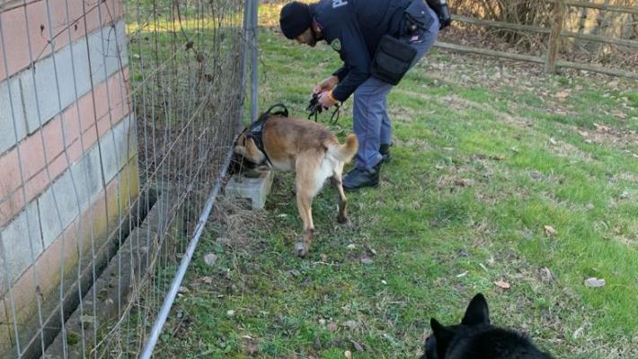 Controlli straordinari del territorio finalizzati al contrasto della criminalità: sequestri di droga a Parco Ducale e Parco Falcone e Borsellino e Parco nord.