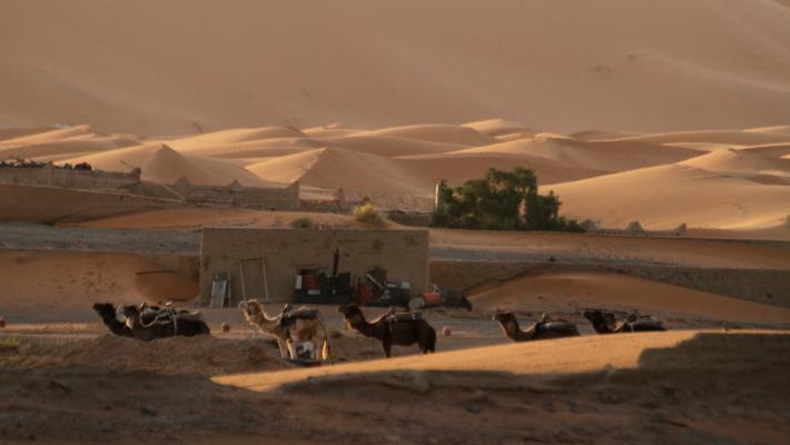 Marocco , Inshallah - Reportage di viaggio