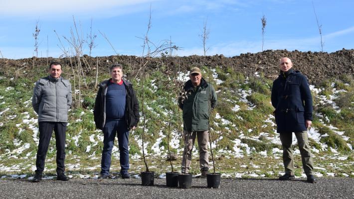 Un bosco in via Bettoli contro smog e cambiamento climatico
