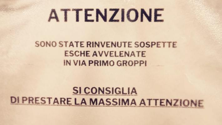 Trovate sospette esche avvelenate in via Primo Groppi: attenzione agli amici a quattro zampe