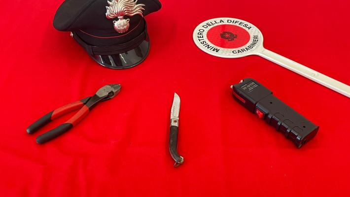 Minaccia la vigilanza con il taser e fugge. Bloccato ed arrestato dai carabinieri   