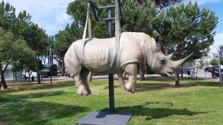 Animali di Bombardieri invadono le strade di Forte dei Marmi