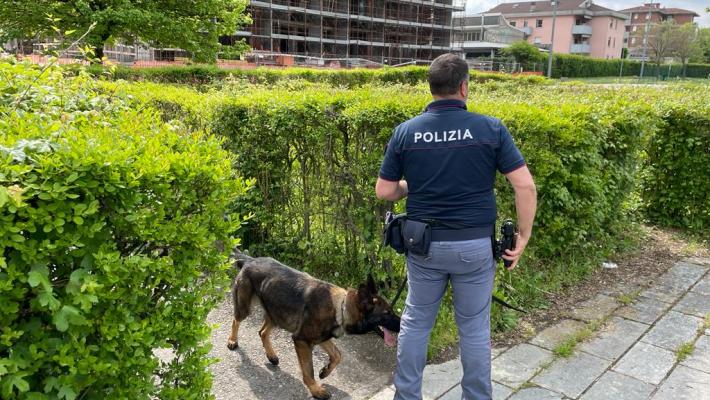 Controlli straordinari del territorio finalizzati al contrasto dello spaccio di sostanze stupefacenti: sequestri di droga a Parco Ducale e Parco Falcone e Borsellino.
