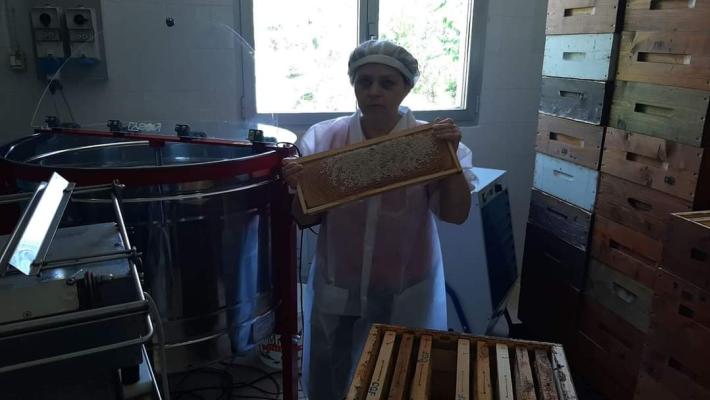 Barbaglia «Dal ronzio delle api riesco a capire come sta la regina»