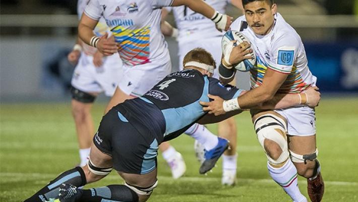 Altre due stagioni alle Zebre per il n°8 neozelandese Taina Fox-Matamua 