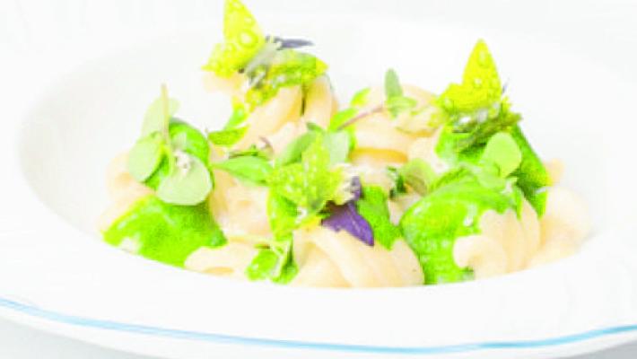 Trottole di Gragnano basilico e siero di Parmigiano
