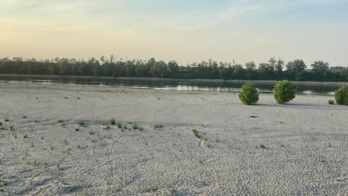 CRISI IDRICA - A PARMA RADDOPPIANO I COSTI DI IRRIGAZIONE DEL POMODORO