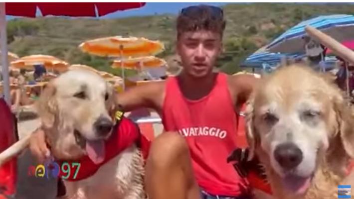 Affonda pedalo', cani bagnino salvano cinque ragazzi