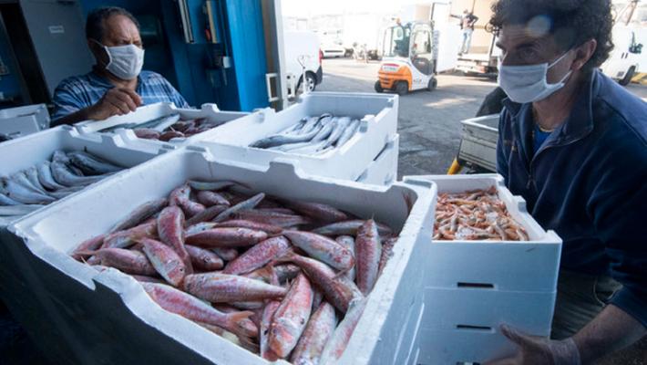 Stop pesce fresco, scatta il fermo sull'Adriatico