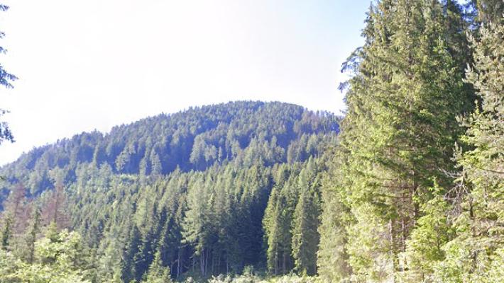 Incidente nei boschi di Moena: grave un boscaiolo colpito da un tronco