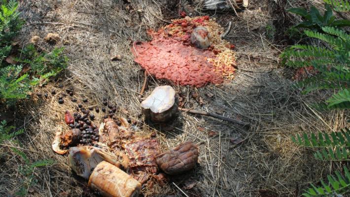 E nella Golena del Po arrivano anche i salumi avariati... 
