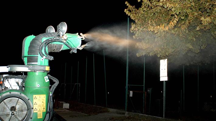 Misure urgenti di contenimento della diffusione di Culex pipiens (zanzara comune), vettore di infezione da West Nile Virus.  