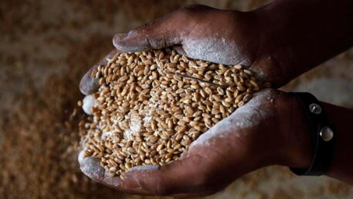 Slow Food: "5 azioni per contrastare la crisi alimentare"