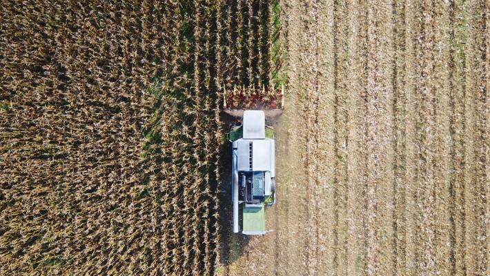 Agroalimentare, la produzione nel 2023 è calata a causa dell'alluvione. Ma l'export è cresciuto come l'output dell'industria alimentare