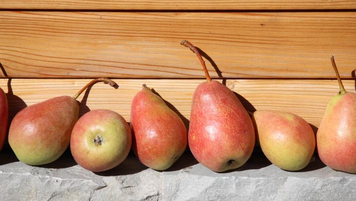 Le Pere Nobili presidio Slow Food