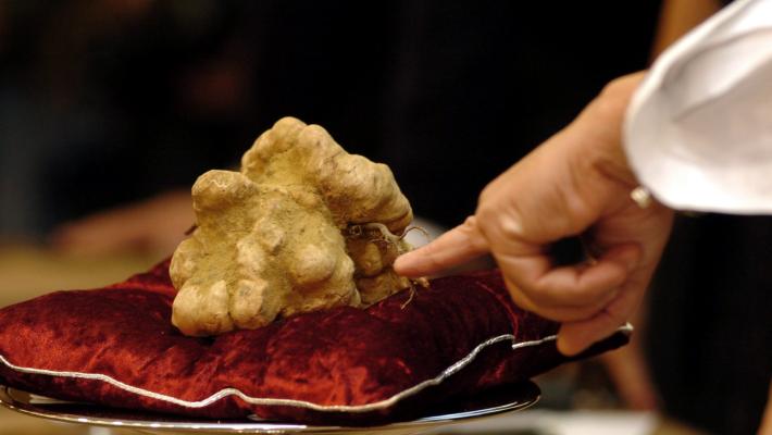 Tartufo bianco: vola a Hong Kong lotto più pregiato (a 184mila euro)