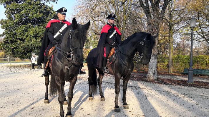 Parma: diverse pattuglie impiegate nel controllo del territorio