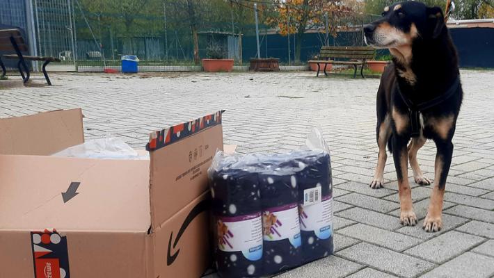 Il Canile Municipale di Parma Lilli e il Vagabondo ringrazia il donatore anonimo 