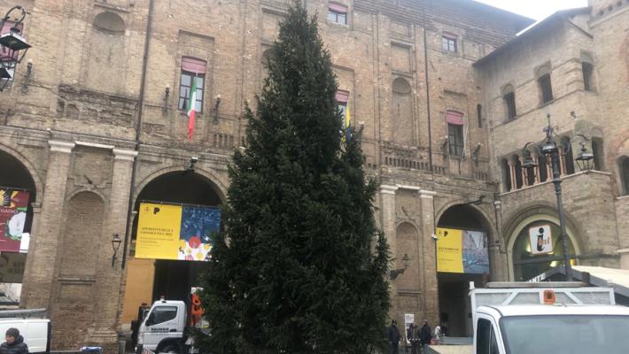 Piazza Garibaldi, è arrivato l'Albero di Natale - Foto 