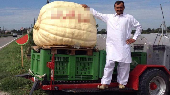 Ancora un rinvio in tribunale per il padre di Saman in Pakistan