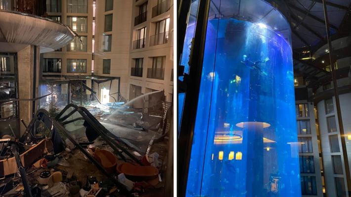Berlino, esplode enorme acquario con 1500 pesci tropicali