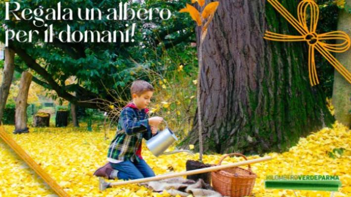 KilometroVerdeParma: a Natale &ldquo;Regala un albero per il domani&rdquo; con la campagna GoFundMe