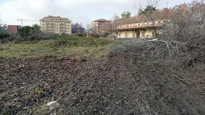 La denuncia degli ambientalisti: "La scuola nel parco... che non c'è più"