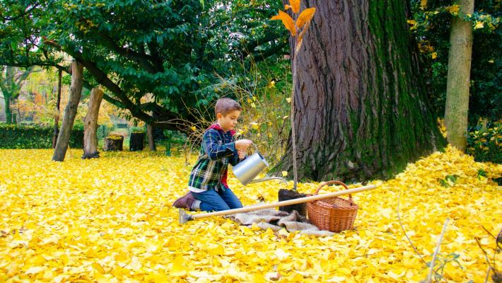 KilometroVerdeParma: vicino il traguardo di un nuovo bosco urbano nel quartiere Molinetto