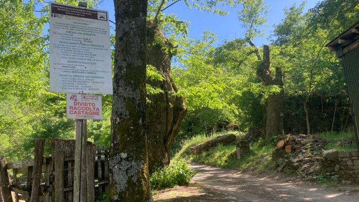 Miniere Corchia, gli ambientalisti: "La Regione respinga la richiesta di ricerca mineralogica"