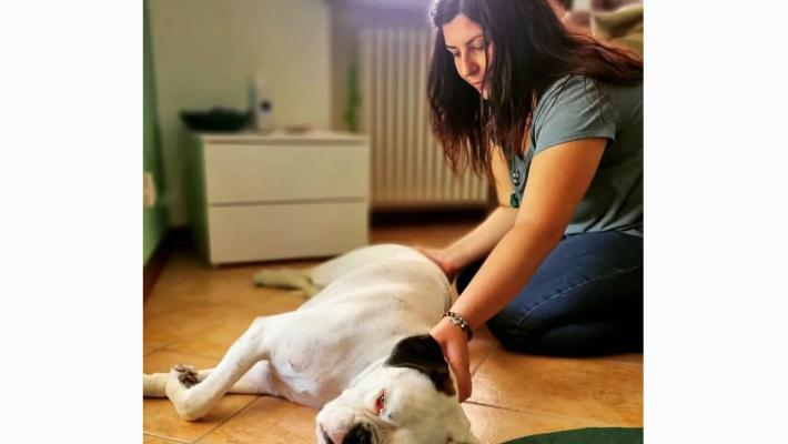 L'osteopata per ridurre  dolori e fobie degli animali