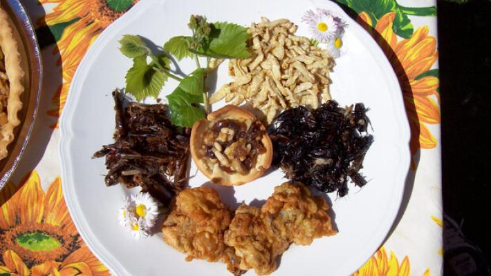 "Uomini e giovani più propensi a mangiare gli insetti": studio internazionale, coinvolta l'Università di Parma