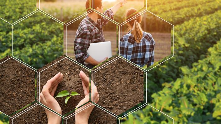 Corso di formazione per lavorare nel settore agro-alimentare a Parma