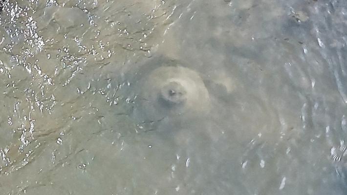 Salso, un ordigno bellico nel torrente Ghiara? 