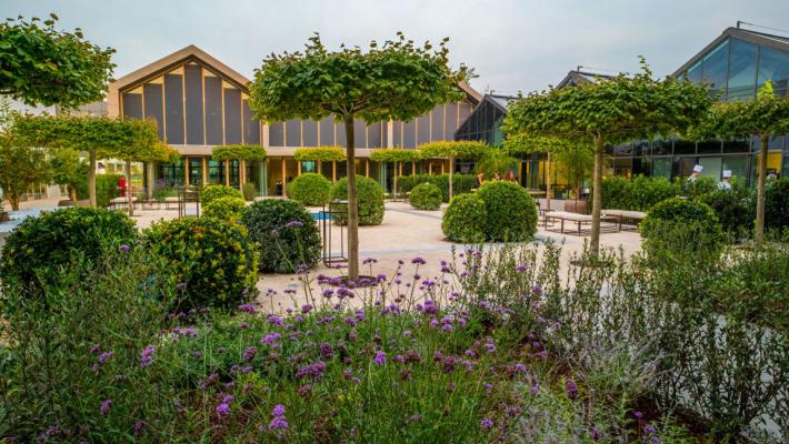 Davines cresce in Europa e apre la filiale in Germania