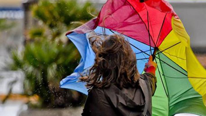 Allerta meteo gialla per vento forte nella giornata di giovedì 3.8.23, chiusi il Parco Ducale ed il Parco della Cittadella