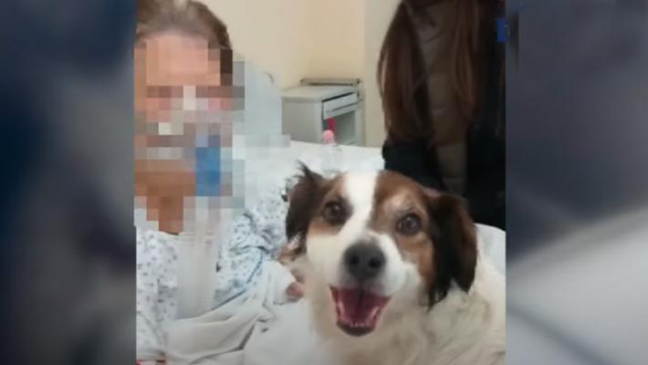 Cane in ospedale per l'ultimo saluto - Video