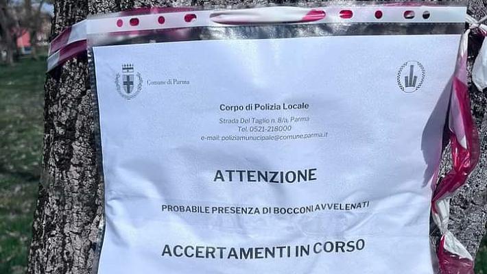 Bocconi avvelenati