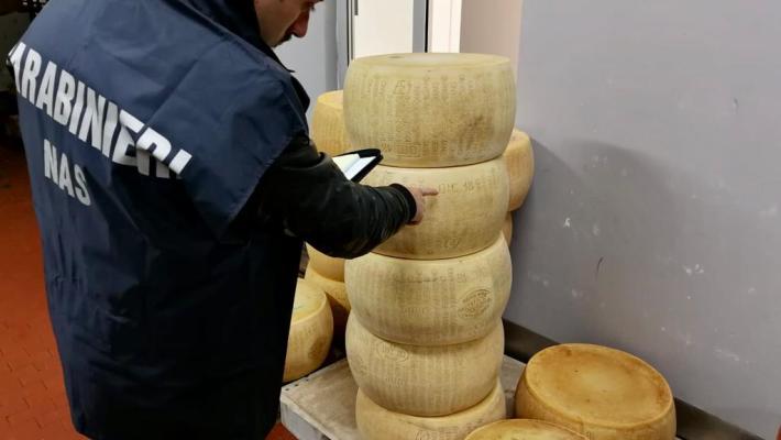 84 forme in stagionatura difettose sequestrate. 137 bloccate: multato e chiesta la sospensione per un caseificio