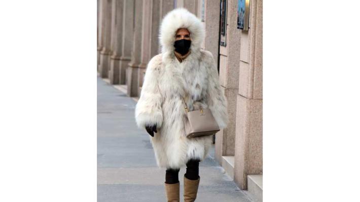 Torna il gelo in Veneto, termometro fino a -11 gradi
