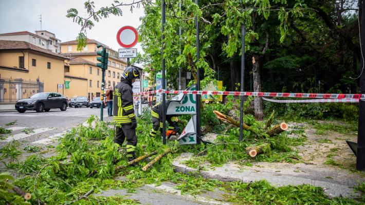Paura in via Farini, crolla una pianta: stanno intervenendo i vigili del fuoco