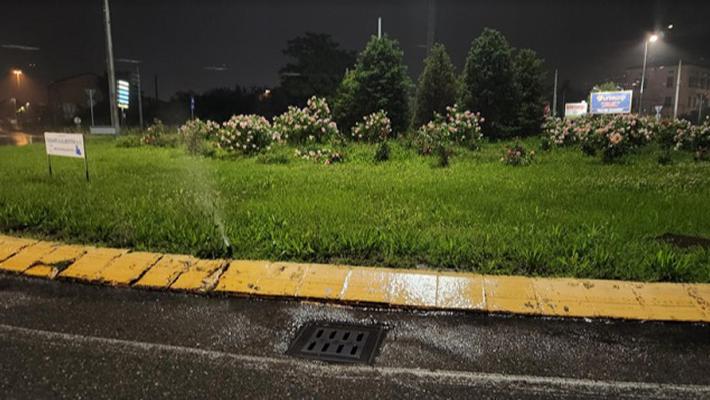 Rotonda di via Emilia Ovest: spreco d'acqua