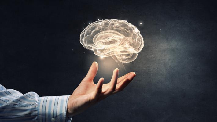 Scoperta l'area del cervello responsabile della disonestà