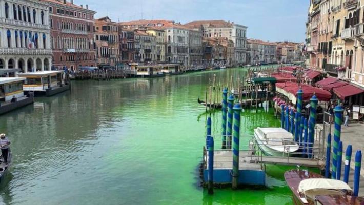 Chiazza verde fosforescente compare sul Canal Grande a Venezia
