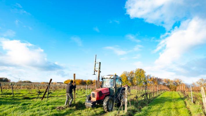 Barilla e Davines insieme per l'agricoltura rigenerativa con il progetto bello e buono